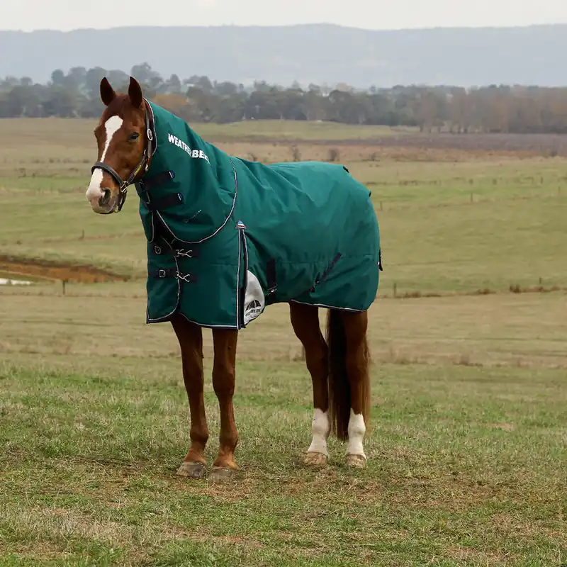 Wochenendangebot Weatherbeeta Comfitec Plus Dynamic Turnout Detach-A-Neck 220g - Navy/Forest Green, 135