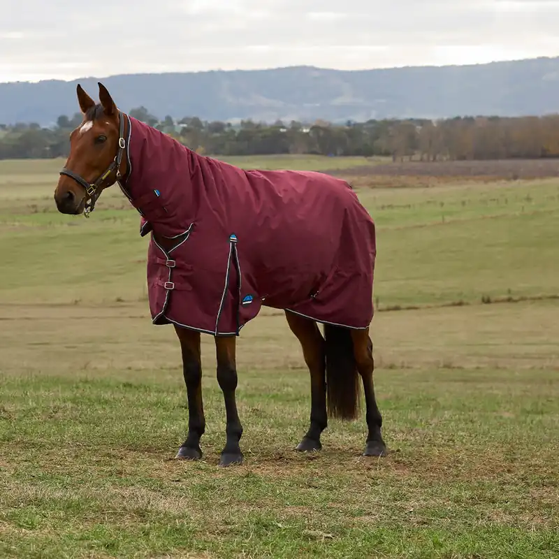 Aktuell Weatherbeeta Comfitec Prelim Turnout Combo 0g - Burgundy/Navy, 165