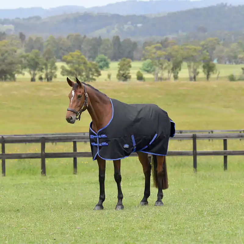 Abverkauf Weatherbeeta Comfitec Tyro Turnout Standard Neck 220g - Black/Cobalt, 135