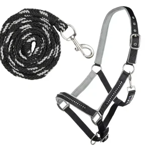 hkm sports halfter set mit karabinerhalen crystal weich unterlegt shetty schwarz grau Direktkauf