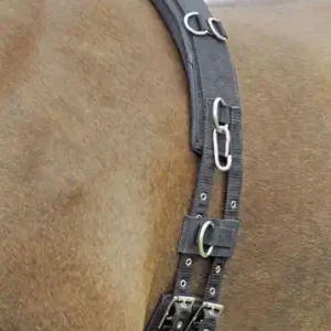 Kostenloser Rückversand busse longiergurt profi soft schwarz warmblut